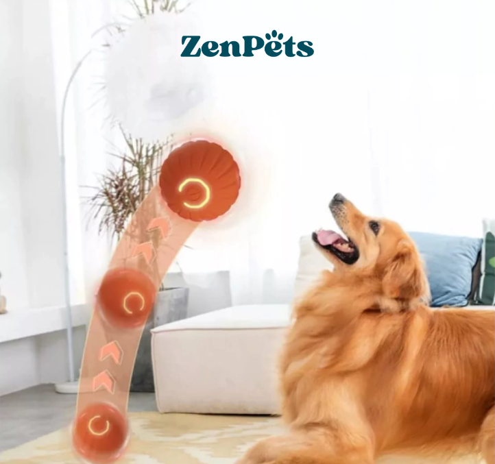 ZenBall: Pelotita Anti-Ansiedad con Movimiento Inteligente.