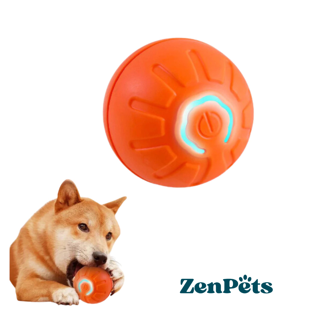 ZenBall: Pelotita Anti-Ansiedad con Movimiento Inteligente.