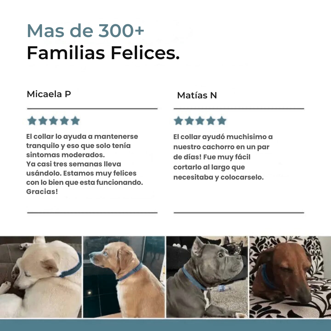 Collar Calmante Natural ZenPets® - 30 Dias